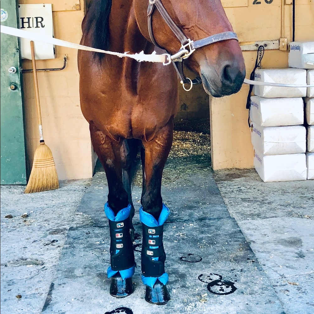 Premier Equine Magnetic Wraps